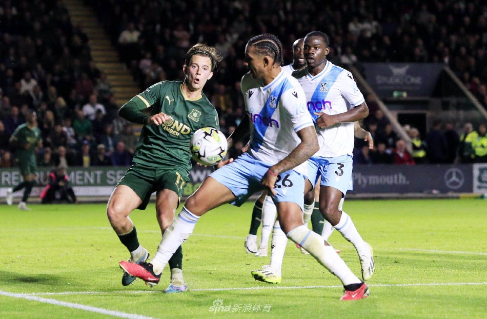 胆的战术安 胆的战术安